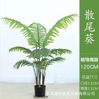 XU0612661